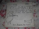 The Celibate Rifles 'but jacques the fish?' RARE 45