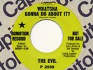 THE EVIL (1967) Whatcha Gonna Do About It? / Capitol DJ