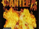 Pantera      Reinventing The Steel   Vinyl LP    MINT