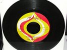 THE WHAT-NOTS I Need You Baby 7
