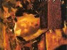 My Dying Bride-the thrash of naked limbs 12