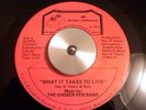 THE CHOSEN FEW BAND - WHAT IT TAKES RARE SOUL MODERN