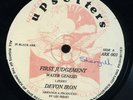 Devon Irons - When Jah Jah Come Rare Lee Perry 12