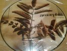 AMORPHIS Tuonela Pic LP - Hypocrisy Sentenced Entombed