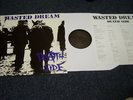 DEATH SIDE WASTED DREAM LP STALIN GAUZE LIP CREAM CLASH