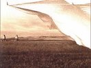 Neil Young, Prairie Wind. 200g Sealed 2LP Set OOP