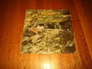 JIMMY BUFFETT Down to Earth 1st lp barnaby 70 rare NM