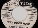 45 R&B ROCKABILLY Larry Bright Way Down Home PROMO HEAR