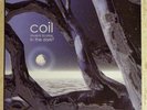 COIL - MUSICK TO PLAY IN THE DARK - Vol 2 DoLP LOW #6