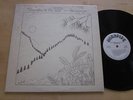 Harmonym Blossoms in the Wind LP Private Rural Folk MP3