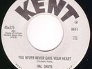 Popcorn Soul 45 - HAL DAVIS -You Never Gave Your Heart