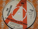 Rivingtons A rose growing in the ruins soul Demo