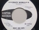 Garage Punk PECK'S BAD BOYS Crazy World HEAR