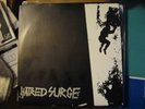 HATRED SURGE 1st EP Endless Blockade Mind Eraser