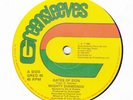 SOUND SYSTEM CLASSIC -MIGHTY DIAMONDS-GATES OF ZION ?