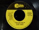 JESSE JAMES 'I GOT THE FEELIN' RARE MODERN SOUL 45