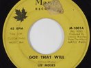 Funk/Deep Soul 45 LEE MOSES Got That Will MAPLE HEAR