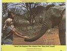 SEALED An Elephant Called Slowly funk breaks OST LP