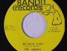 ARROWS: Bring Back The One I Love / We Have Love 45 (almost M-) rare Soul