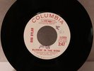 Bob Dylan Blowin' In the Wind white label promo 45