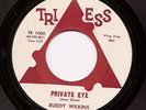BUDDY WILKINS Private Eye  Northern R & B 45 on Tri Ess