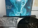 TAD INFRARED RIDING HOOD - Nirvana Pearl Jam Rare LP