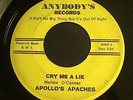 Apollo's apaches Cry me a Lie Punk garage rocker RARE
