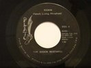 Funk 45 THE KICKIN MUSTANGS Kickin on Plato