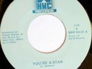 rare Modern Soul Boogie 45 MILE HIGH PIE you're a star