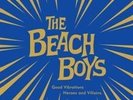 Beach Boys RSD Record Store Day 10