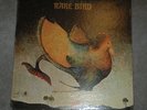 RARE BIRD 1st Debut ABC PROBE NM HEAVY Blues Rock Psych