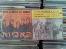 lions of juda 7