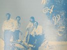 3 & COMPANY 