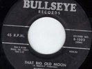 BUDDY BURKE /CANADIAN METEORS  ORIG.ROCK A BIL