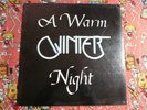 WINTER   WARM WINTER NIGHT   SEALED 1980 PRIVATE PRESS 