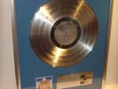 Iron Maiden Powerslave platin Schallplatte goldene reco