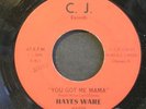 45 HAYES WARE on CJ I Want To Bump rare funk