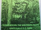 WHITE EAGLE N.O. NEW ORLEANS BAND FEAT JON MARKS DOWN A