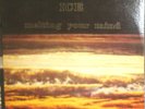 ICE Melting Your Mind LP Private-press psych folk