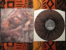 CONVERGE Unloved And Weeded Out BROWN w/BLK /500 Reflec