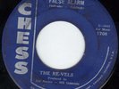 The RE-VELS