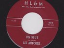 RARE FUNK/DEEP SOUL LEE MITCHELL Unique/How Can You Be 