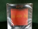 PROSPER - BROKEN DOOR Amber Soundroom ASLP 012 UNPLAYED