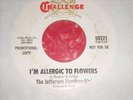 The Jefferson Handkerchief CHALLENGE 59371 Allergic to 