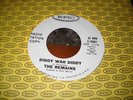 blues-garage The Remains Diddy Wah Diddy nice Epic