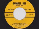 DETROIT R&B/DOOWOP TORNADOS Love In Your Life/Geni In J
