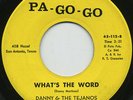 HEAR-Rare Funk / Soul 45-Danny & Tejanos-Whats The Word