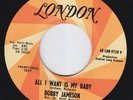 BOBBY JAMESON All I Want Is My Baby MOD Rolling Stones