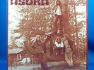 ASOKA Taste Of Blues SWE PSYCH PROG DEMO unreleased LP