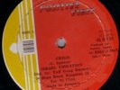 ISRAEL VIBRATION/POSTIVE VIBES Orig JA 12